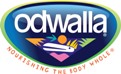2011Walk-Sponsors-Odwalla